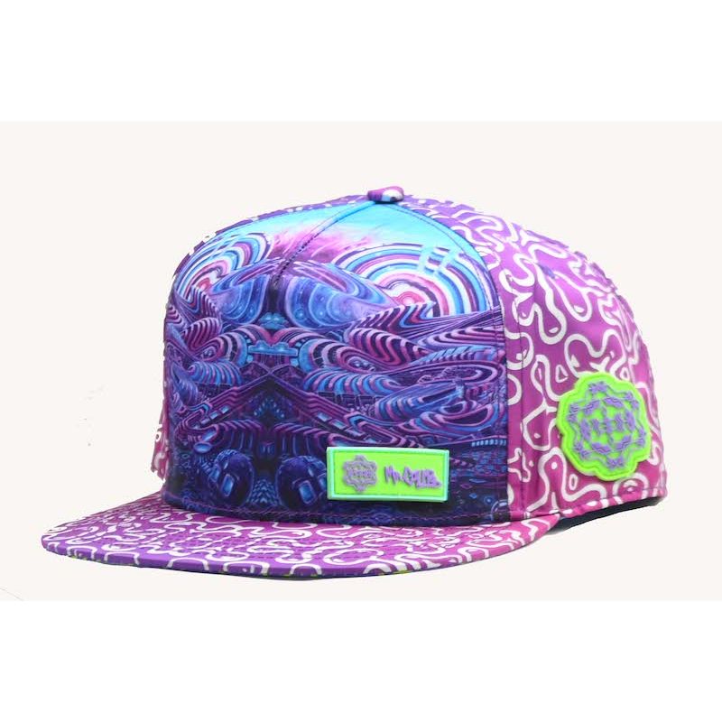 Mr Crumbs Snapback- "Seeing You Seeing Me"