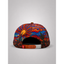 Painted Desert Snapback