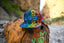 The Fifth Chakra Snapback