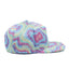 Frosted Swirl Snap Back