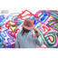 Trippy Grin Snapback