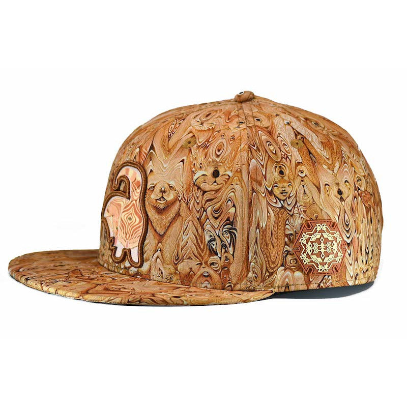 Turd Eye Snapback- Brad Rhadwood